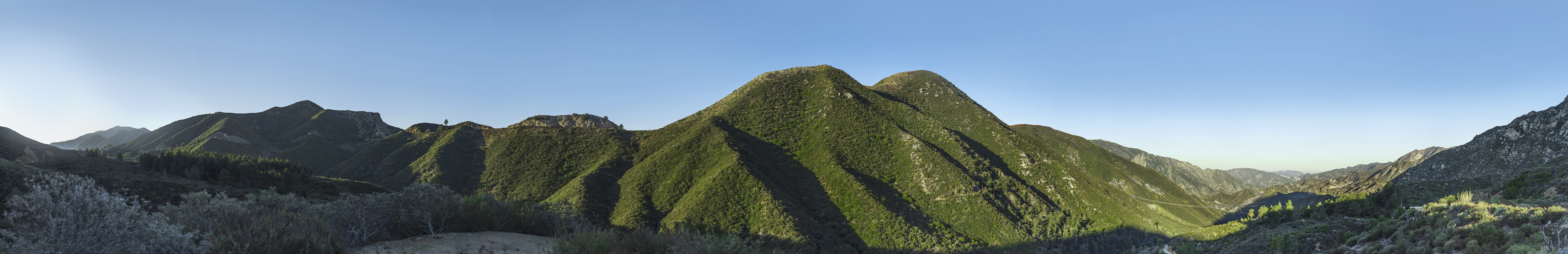 Gabriel_4_Pano_03-27-20-2